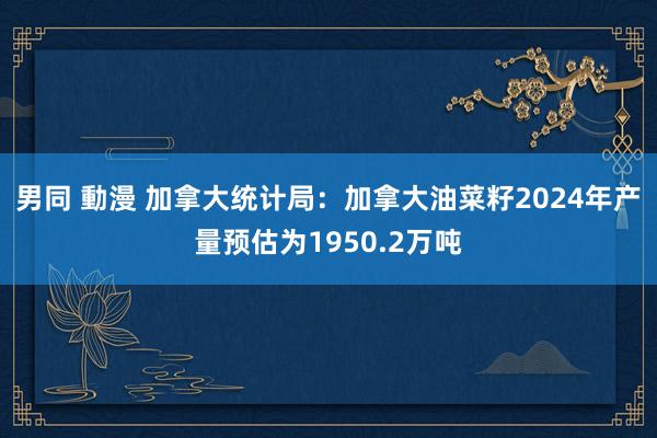 男同 動漫 加拿大统计局：加拿大油菜籽2024年产量预估为1950.2万吨