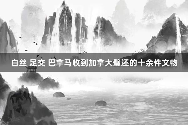 白丝 足交 巴拿马收到加拿大璧还的十余件文物