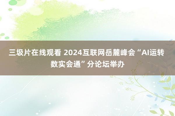 三圾片在线观看 2024互联网岳麓峰会“AI运转 数实会通”分论坛举办