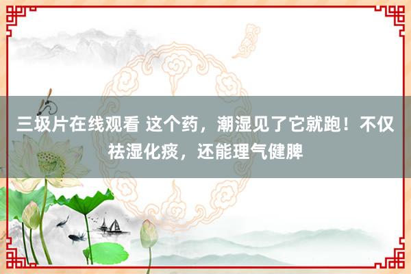 三圾片在线观看 这个药，潮湿见了它就跑！不仅祛湿化痰，还能理气健脾