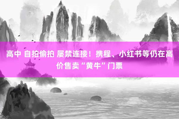 高中 自拍偷拍 屡禁连接！携程、小红书等仍在高价售卖“黄牛”门票