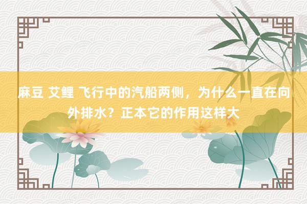 麻豆 艾鲤 飞行中的汽船两侧，为什么一直在向外排水？正本它的作用这样大