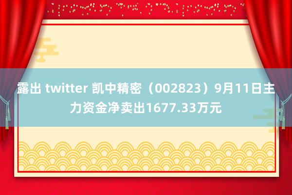 露出 twitter 凯中精密（002823）9月11日主力资金净卖出1677.33万元