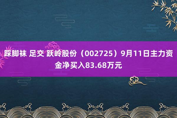 踩脚袜 足交 跃岭股份（002725）9月11日主力资金净买入83.68万元