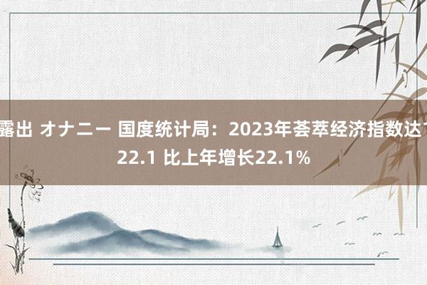 露出 オナニー 国度统计局：2023年荟萃经济指数达122.1 比上年增长22.1%