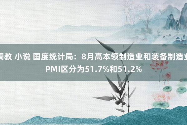 调教 小说 国度统计局：8月高本领制造业和装备制造业PMI区分为51.7%和51.2%