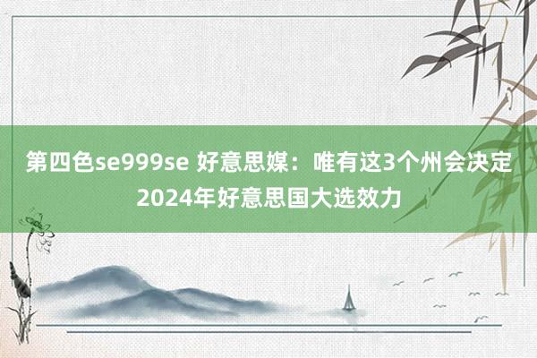 第四色se999se 好意思媒：唯有这3个州会决定2024年好意思国大选效力