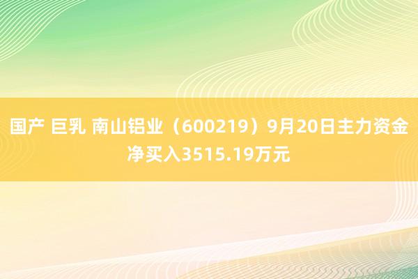 国产 巨乳 南山铝业（600219）9月20日主力资金净买入3515.19万元