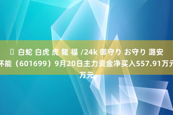 ✨白蛇 白虎 虎 龍 福 /24k 御守り お守り 潞安环能（601699）9月20日主力资金净买入557.91万元