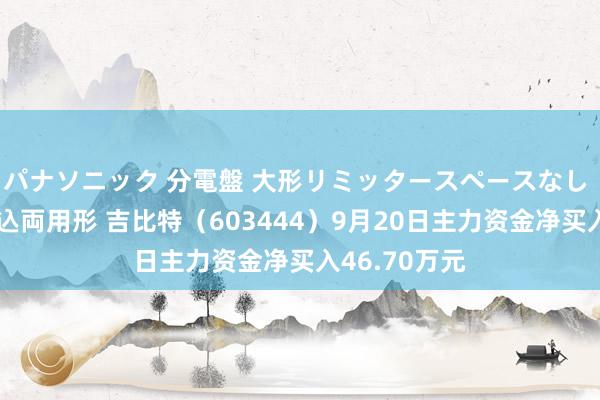 パナソニック 分電盤 大形リミッタースペースなし 露出・半埋込両用形 吉比特（603444）9月20日主力资金净买入46.70万元