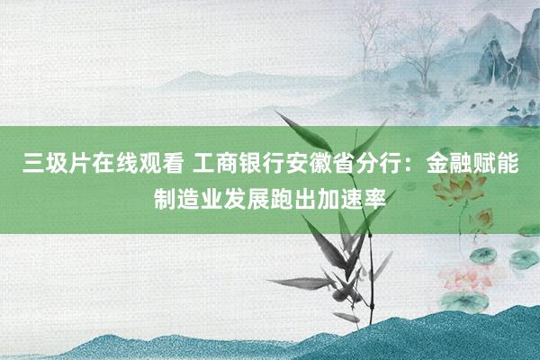 三圾片在线观看 工商银行安徽省分行：金融赋能制造业发展跑出加速率