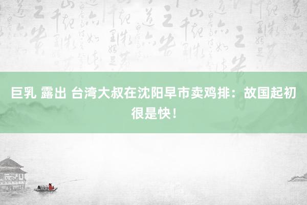 巨乳 露出 台湾大叔在沈阳早市卖鸡排：故国起初很是快！