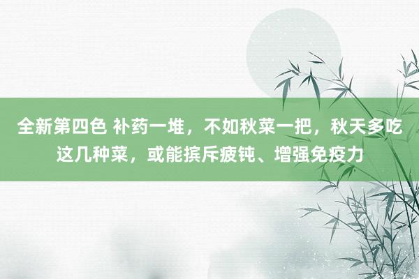 全新第四色 补药一堆，不如秋菜一把，秋天多吃这几种菜，或能摈斥疲钝、增强免疫力