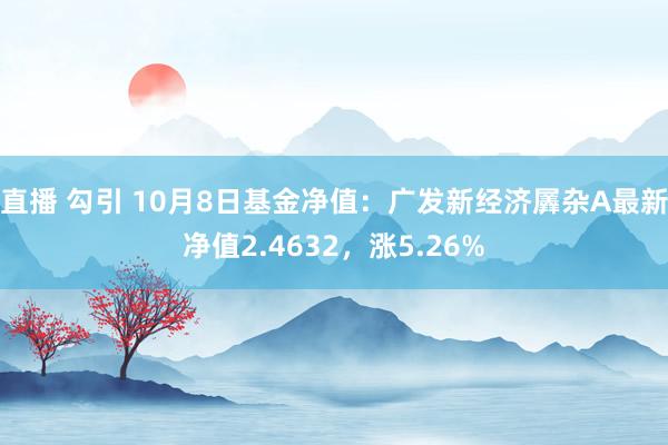 直播 勾引 10月8日基金净值：广发新经济羼杂A最新净值2.4632，涨5.26%