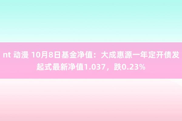 nt 动漫 10月8日基金净值：大成惠源一年定开债发起式最新净值1.037，跌0.23%