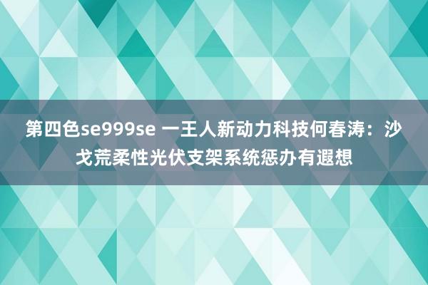 第四色se999se 一王人新动力科技何春涛：沙戈荒柔性光伏支架系统惩办有遐想