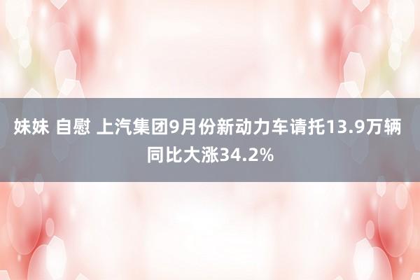 妹妹 自慰 上汽集团9月份新动力车请托13.9万辆 同比大涨34.2%