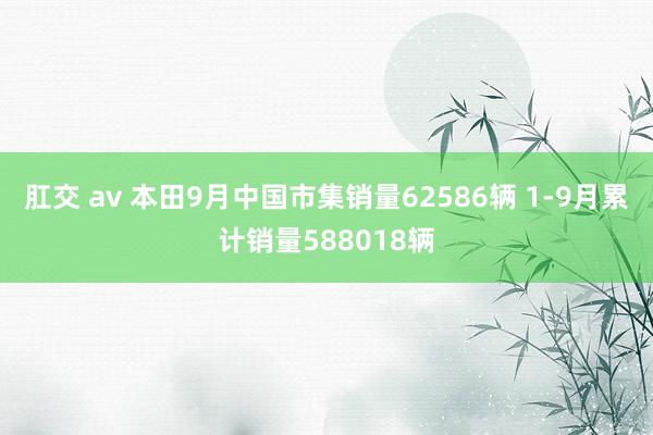 肛交 av 本田9月中国市集销量62586辆 1-9月累计销量588018辆