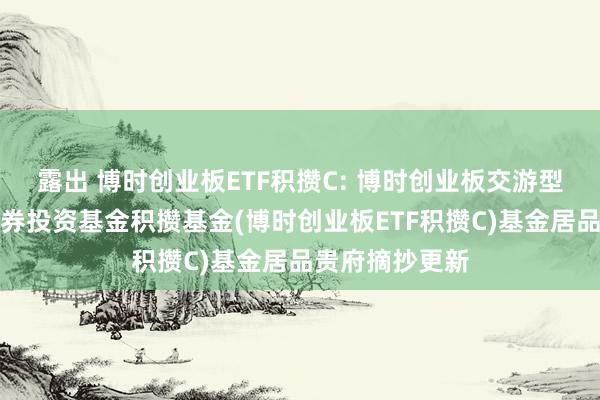 露出 博时创业板ETF积攒C: 博时创业板交游型洞开式指数证券投资基金积攒基金(博时创业板ETF积攒C)基金居品贵府摘抄更新