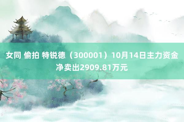 女同 偷拍 特锐德（300001）10月14日主力资金净卖出2909.81万元