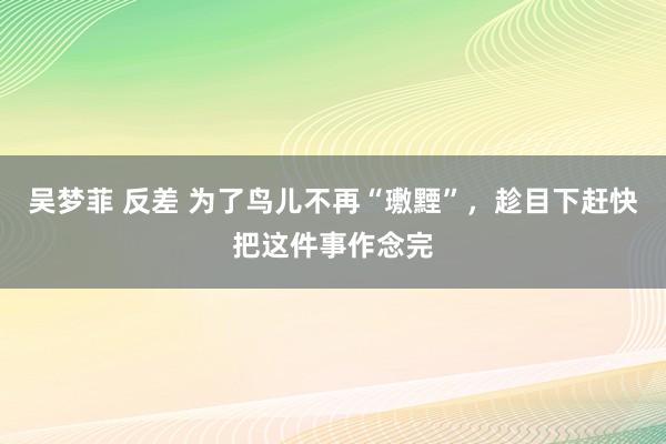 吴梦菲 反差 为了鸟儿不再“璷黫”，趁目下赶快把这件事作念完