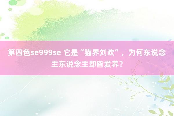 第四色se999se 它是“猫界刘欢”，为何东说念主东说念主却皆爱养？