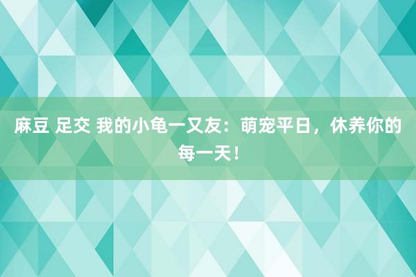 麻豆 足交 我的小龟一又友：萌宠平日，休养你的每一天！