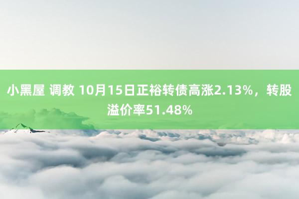 小黑屋 调教 10月15日正裕转债高涨2.13%，转股溢价率51.48%