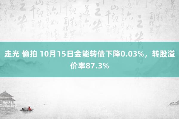 走光 偷拍 10月15日金能转债下降0.03%，转股溢价率87.3%