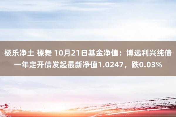 极乐净土 裸舞 10月21日基金净值：博远利兴纯债一年定开债发起最新净值1.0247，跌0.03%