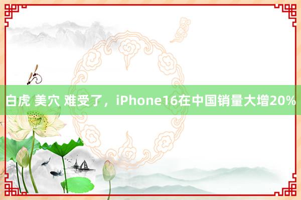 白虎 美穴 难受了，iPhone16在中国销量大增20%