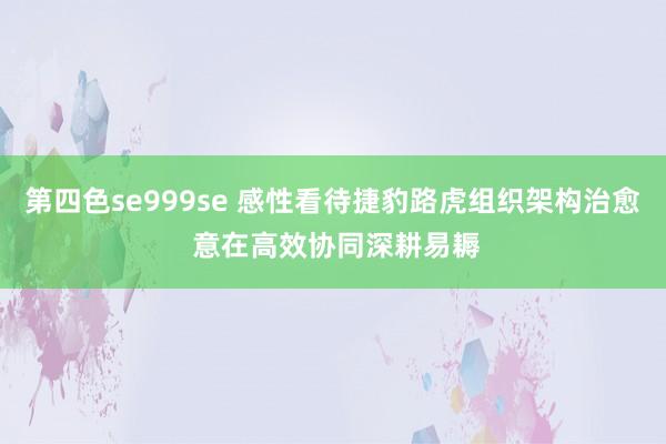 第四色se999se 感性看待捷豹路虎组织架构治愈 意在高效协同深耕易耨