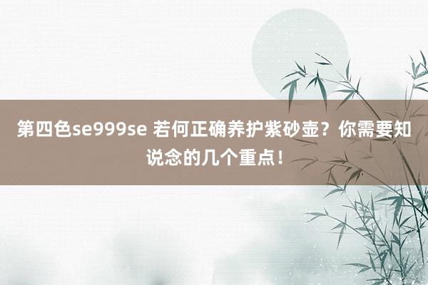 第四色se999se 若何正确养护紫砂壶？你需要知说念的几个重点！