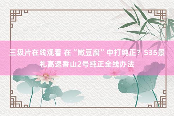 三圾片在线观看 在“嫩豆腐”中打纯正？S35景礼高速香山2号纯正全线办法