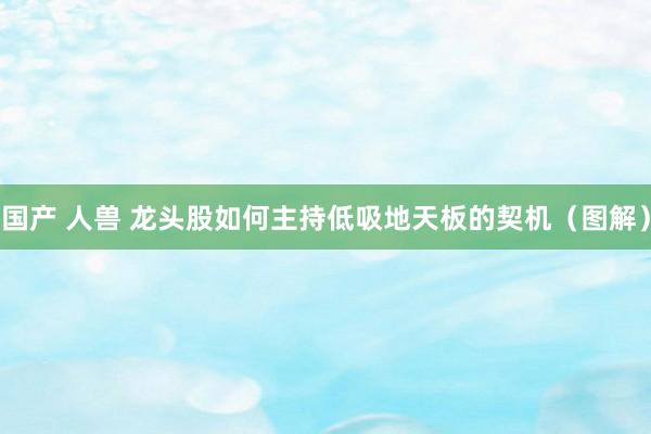 国产 人兽 龙头股如何主持低吸地天板的契机（图解）