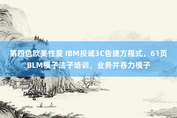 第四色欧美性爱 IBM投诚3C告捷方程式，61页BLM模子法子培训，业务并吞力模子