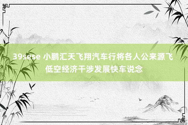 39sese 小鹏汇天飞翔汽车行将各人公来源飞 低空经济干涉发展快车说念