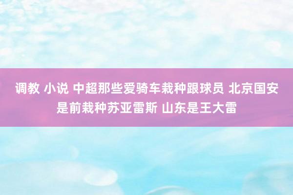 调教 小说 中超那些爱骑车栽种跟球员 北京国安是前栽种苏亚雷斯 山东是王大雷