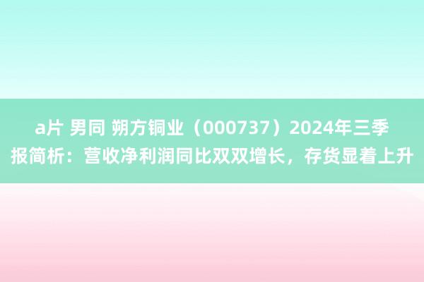 a片 男同 朔方铜业（000737）2024年三季报简析：营收净利润同比双双增长，存货显着上升