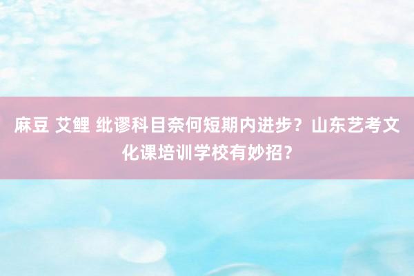 麻豆 艾鲤 纰谬科目奈何短期内进步？山东艺考文化课培训学校有妙招？