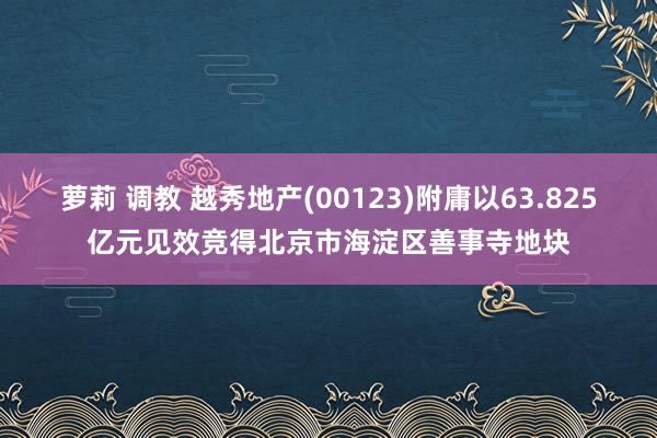 萝莉 调教 越秀地产(00123)附庸以63.825亿元见效竞得北京市海淀区善事寺地块