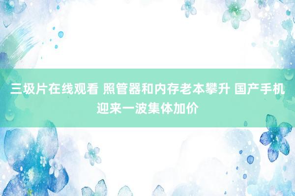 三圾片在线观看 照管器和内存老本攀升 国产手机迎来一波集体加价