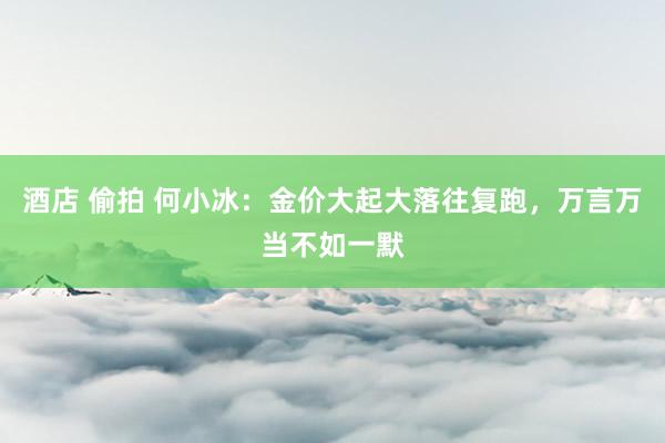 酒店 偷拍 何小冰：金价大起大落往复跑，万言万当不如一默