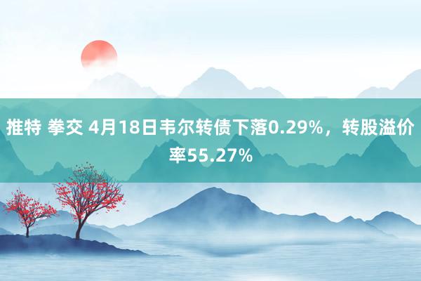 推特 拳交 4月18日韦尔转债下落0.29%，转股溢价率55.27%