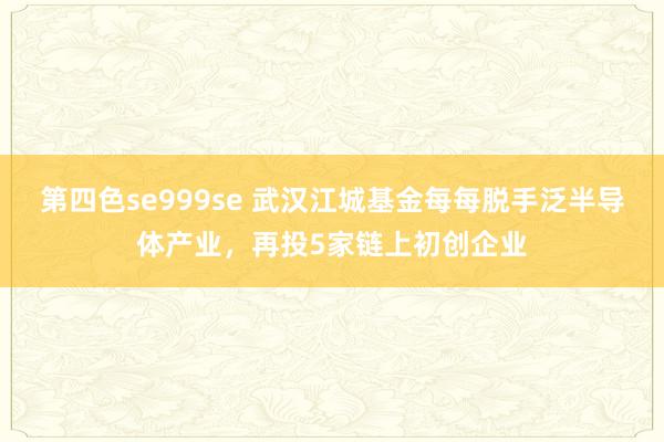 第四色se999se 武汉江城基金每每脱手泛半导体产业，再投5家链上初创企业