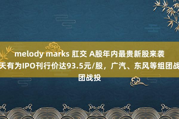 melody marks 肛交 A股年内最贵新股来袭！天有为IPO刊行价达93.5元/股，广汽、东风等组团战投