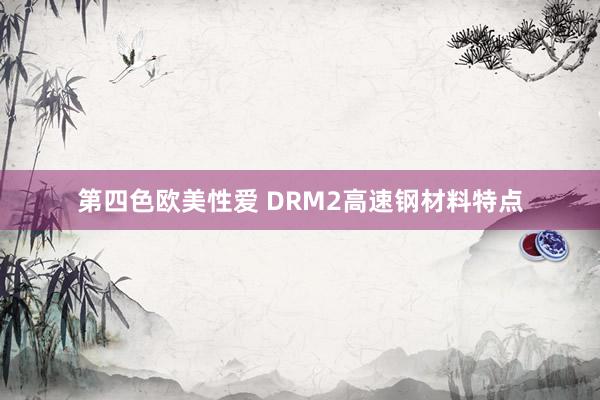 第四色欧美性爱 DRM2高速钢材料特点